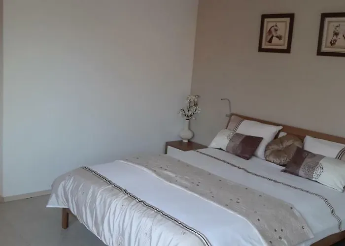 アパート Rusalka Apart-residence